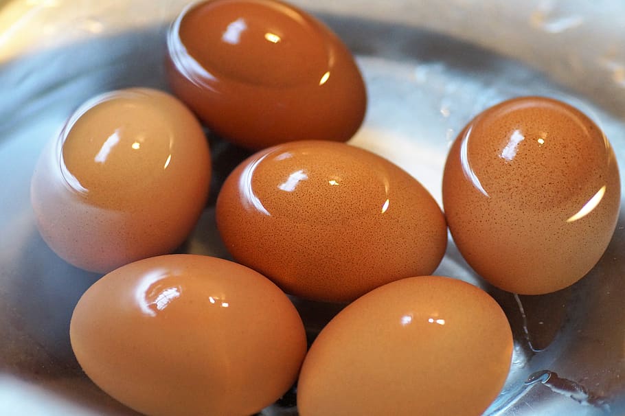 eggs, brewed, hard-boiled, cool, water, cooked, egg, food, food and drink, healthy eating