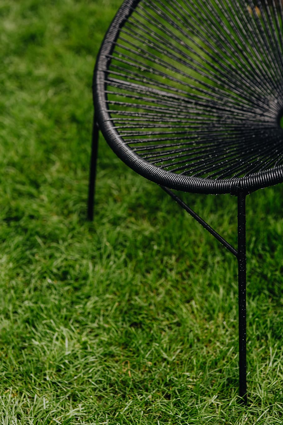 clássico, preto, cadeira acapulco, projeto mexicano, anos 50, jardim, moderno, cadeira, contemporânea, ao ar livre