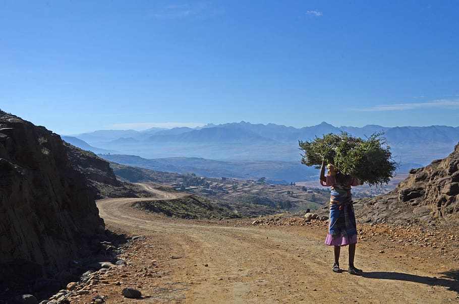 lesotho, africa, woman, burden, scenic, mountains, country, peasants, fuel, mountain