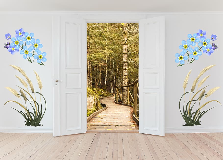 open door, nature trail, forest, house, inside, room, wood, wall decor, empty, plant