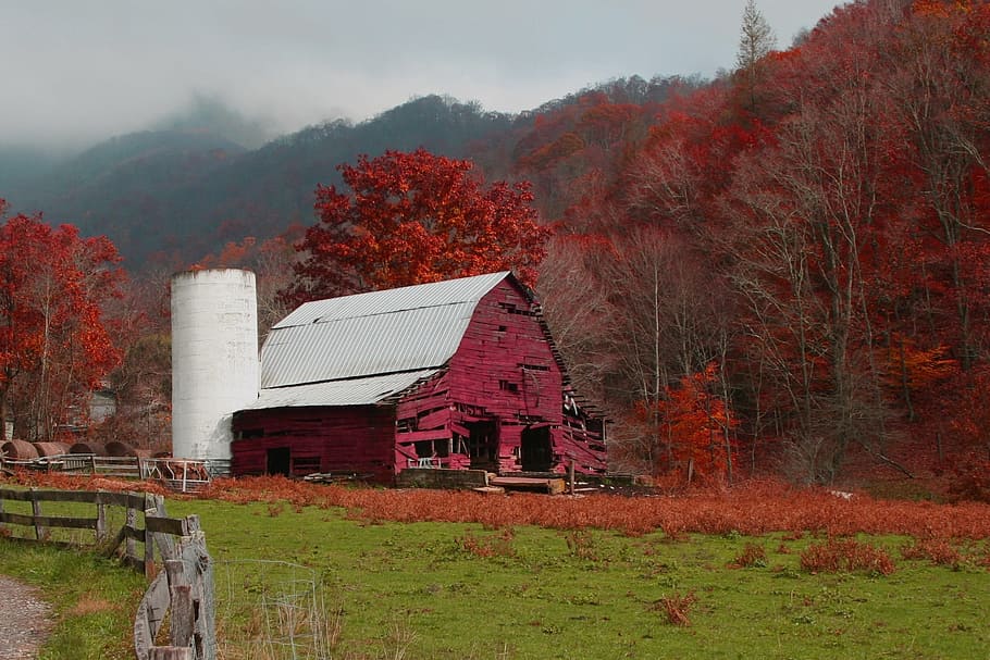 vermelho, celeiro, dia de outono, montanhas, outono, país, fazenda, estrutura construída, arquitetura, árvore