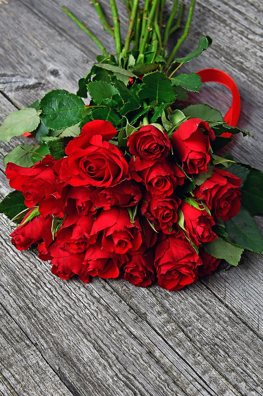 rosa, san valentín, día de san valentín, romántico, romance, amor, bonito, papel tapiz, flores, símbolo