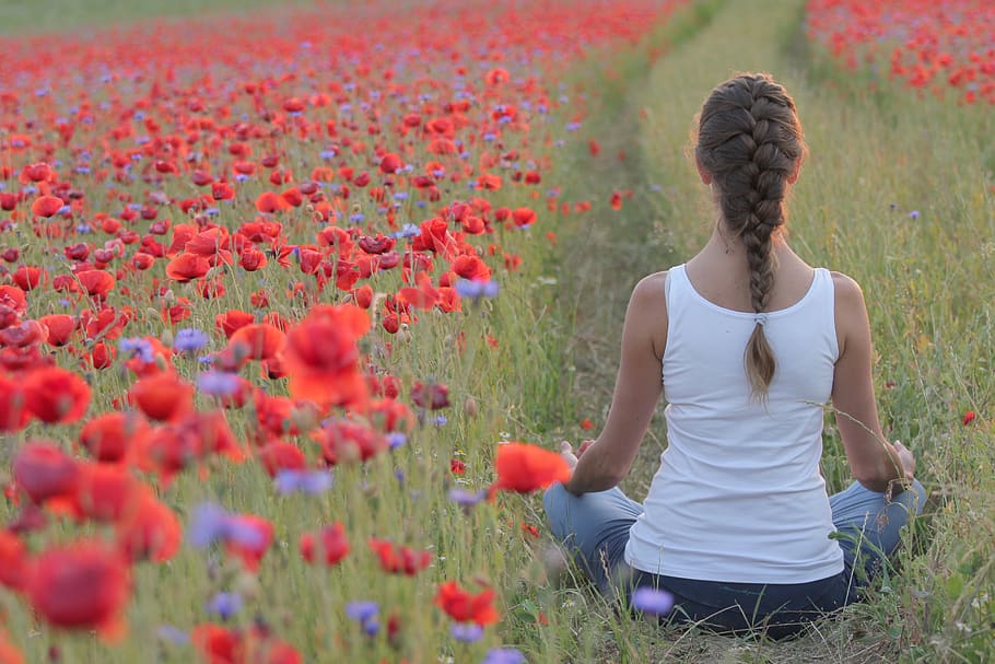 poppies, yoga, field, woman, the path, girl, nice, landscape, happy, dom