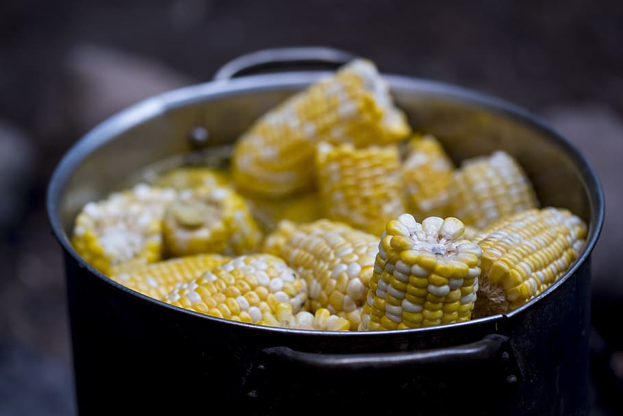 corn, boiled, yellow, cooking, boiling, sweet, water, healthy, pot, delicious