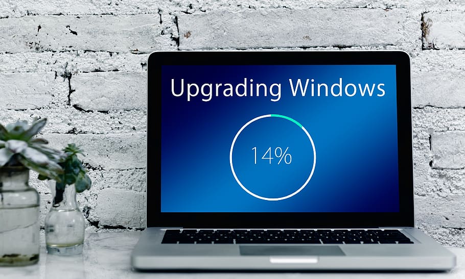 upgrade, windows, laptop, operating system, crash, update, percent, computer, web, programming