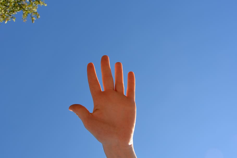 maîn, fingers human hand, finger, falenge, articulation, female hand, human body part, human hand, hand, sky