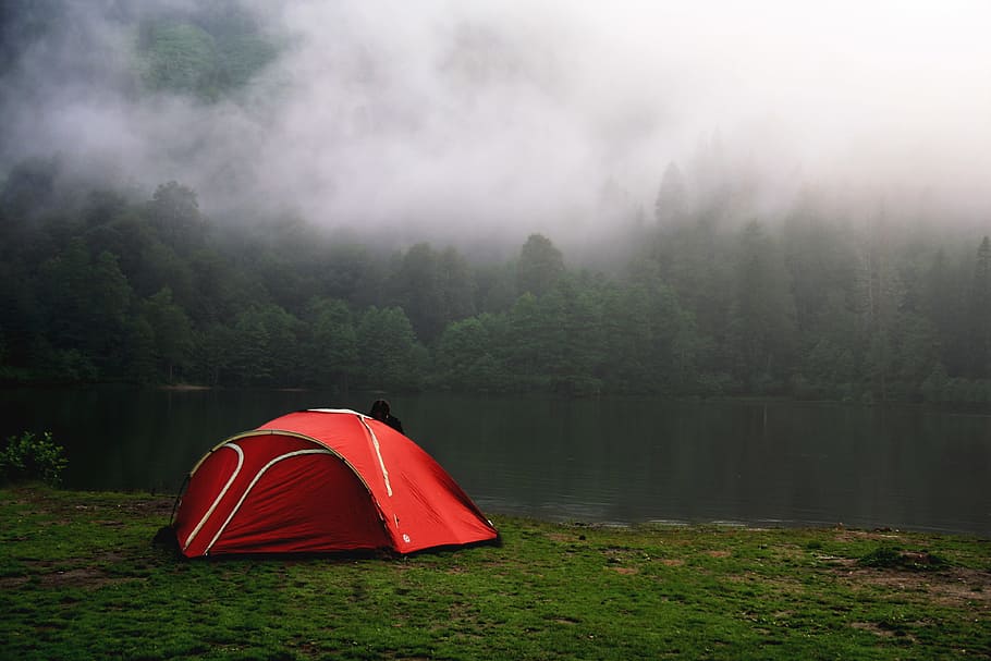 camping, brumoso, bosque, rojo, carpa, naturaleza, campamento, lago, lagos, río