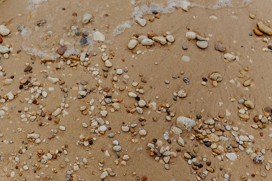 fundo da praia de areia, conchas do mar, &, seixos, -, muitos, redondo, pequeno, pedras, praia