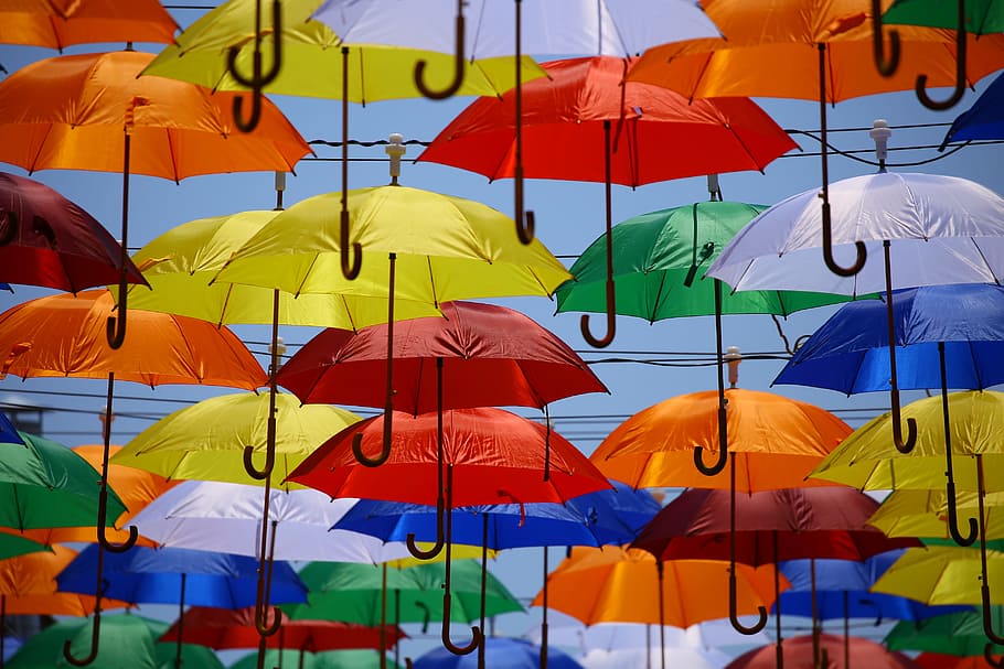 paraguas, lluvia, azul, amarillo, rojo, verde, blanco, colgar, arte, verano