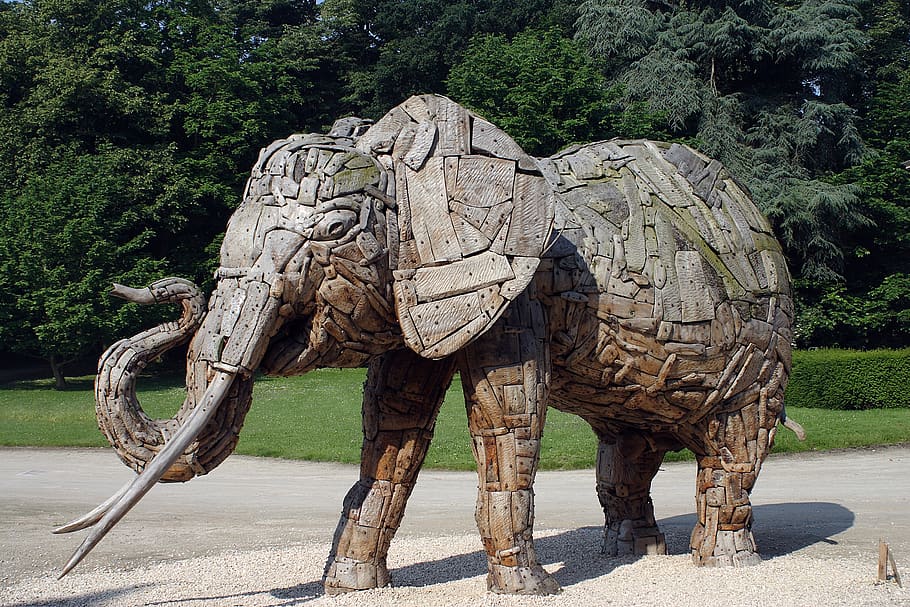 elephant, wood, holzfigur, sculpture, museum, brussels, tree, art and craft, plant, day