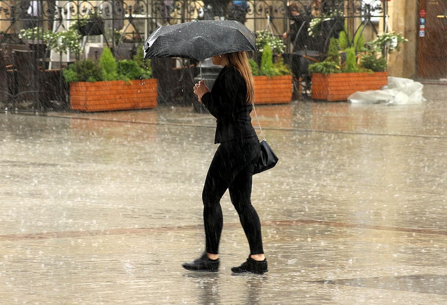 rain, the downpour, girl, woman, rainy girl, umbrella, under the umbrella, weather, people, wet