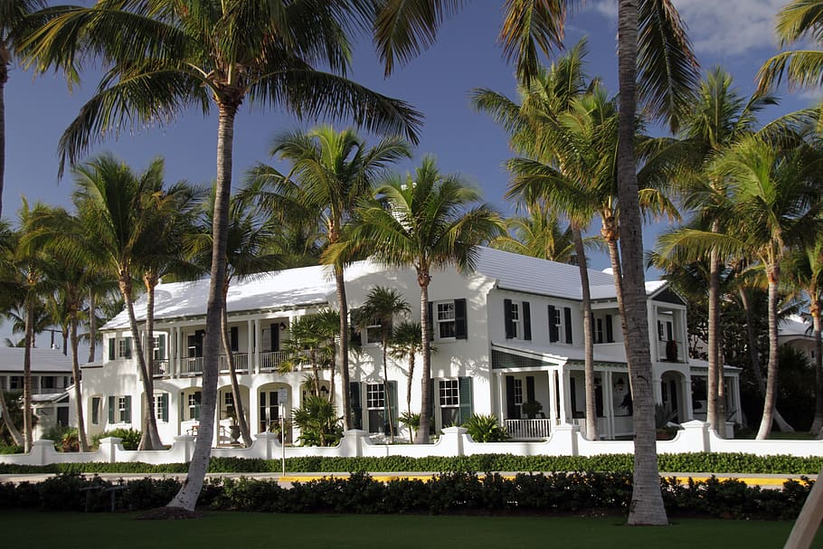 West Palm Beach, casa, beira-mar, arquitetura, rico, palmeira, exterior do edifício, clima tropical, estrutura construída, árvore