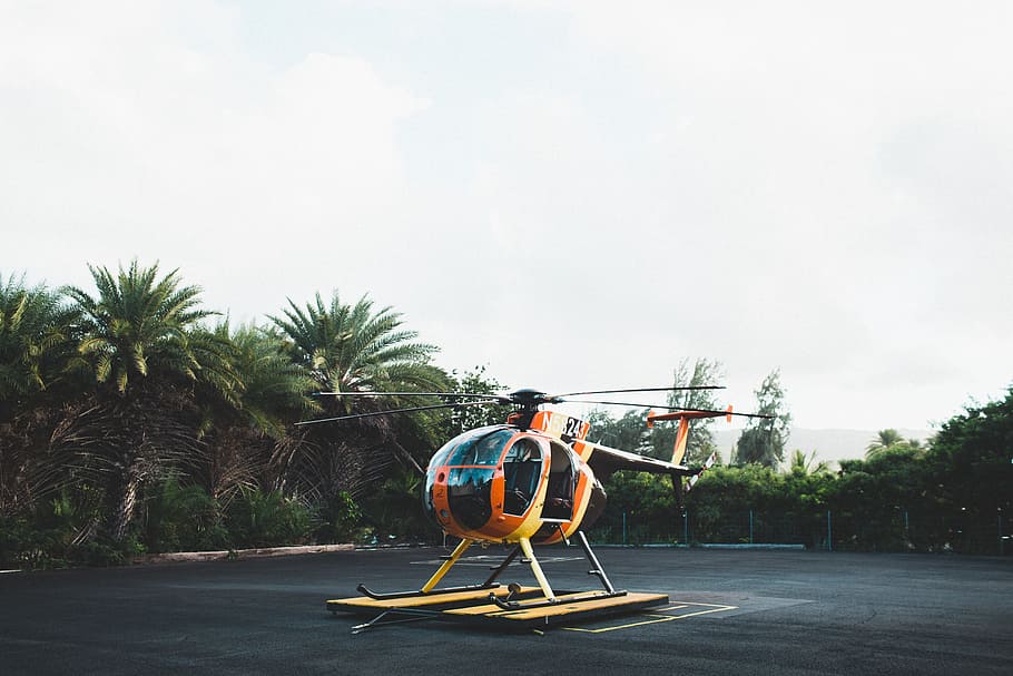 helicopter, helipad, track, fly, machine, heavy, metal, tree, sky, palm tree