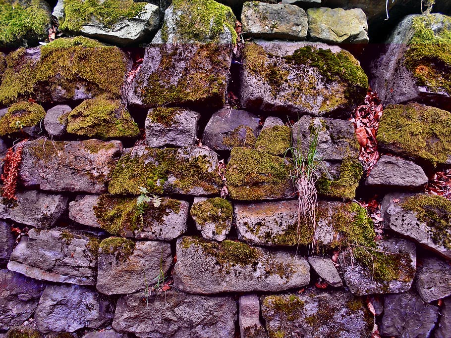 stone wall, lake dusia, moss, the stones, old, mossy, forest, mountains, invoice, nature
