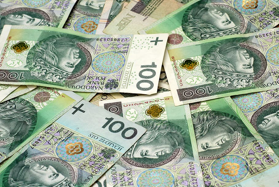 the greenback, the value, currency, poland currency, payment, finance, business, bank, euro banknotes, to spend