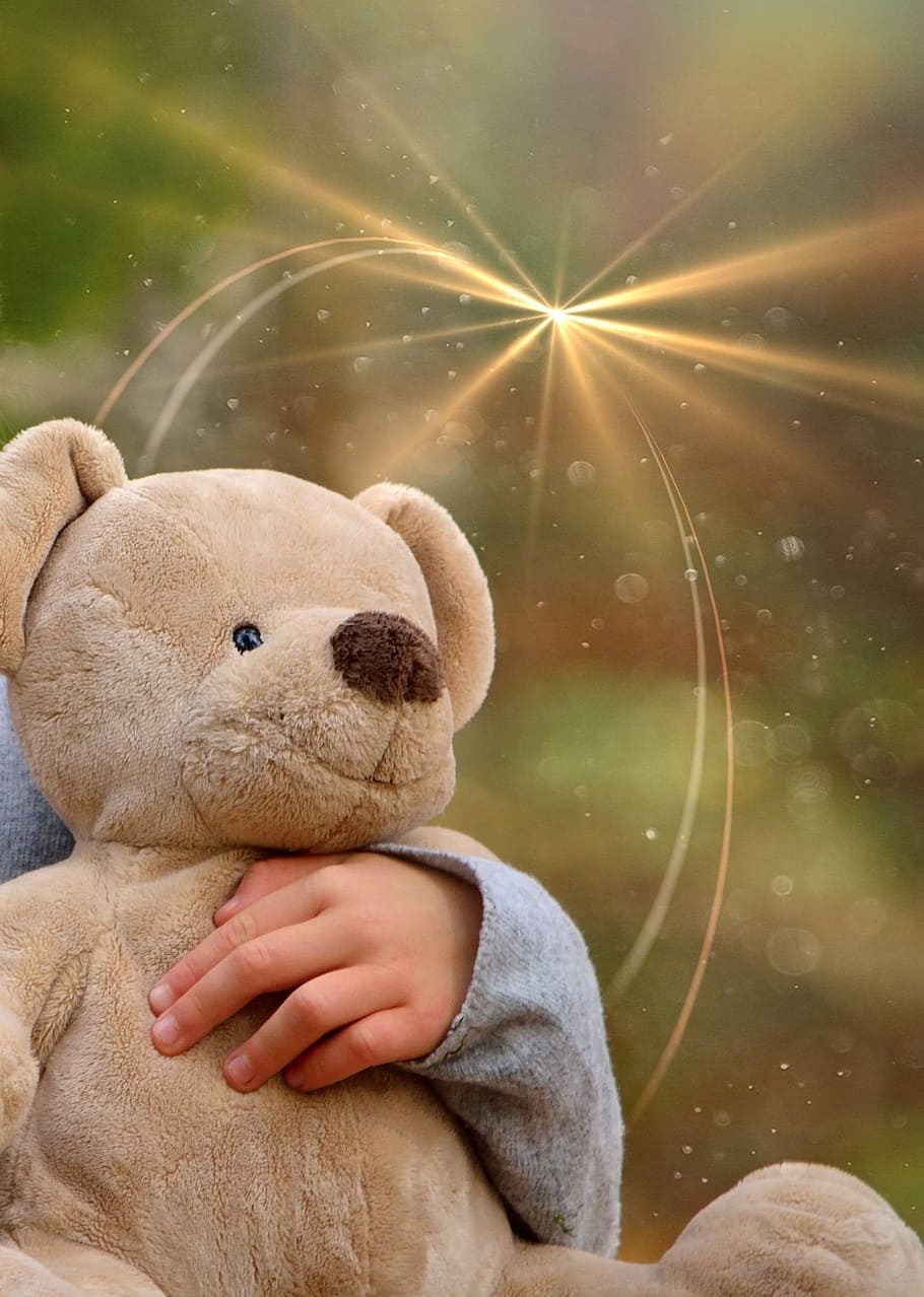 teddy, ted, bear, toy, stuff, stuffed, satu orang, masa kanak-kanak, boneka beruang, mainan