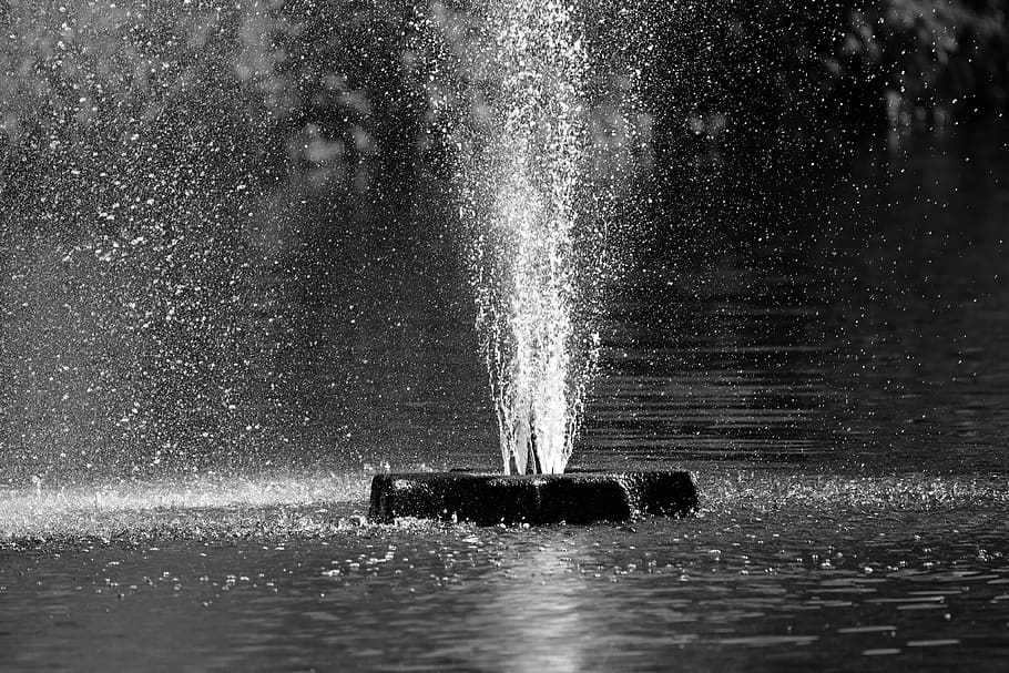 fountain, water, pond, spray, water drops, bubble, spouting, motion ...