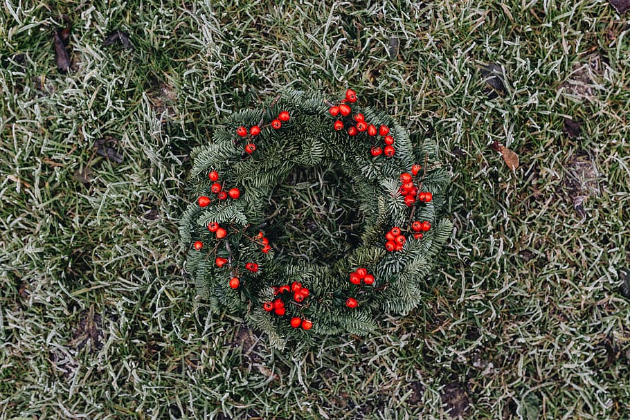 merry, fresh, holly wreath, christmas, winter, xmas, outdoors, wreath, holly, advent