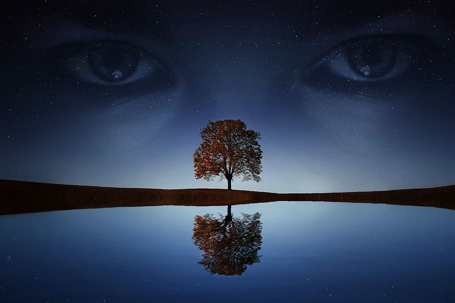 eyes, woman, night, eyes of the night, tree, water, lake, stars, dark, girl