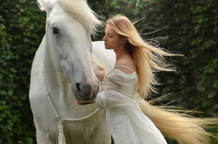 menina, sonhar acordado, cavalo, mulher, senhora, retrato, ao ar livre, atraente, condado, cavalo branco