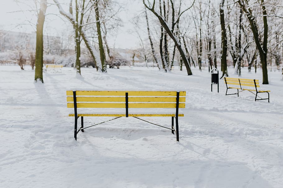зимний парк, белый, чистый, открытый, деревья, парк, зима, холод, снег, заснеженный