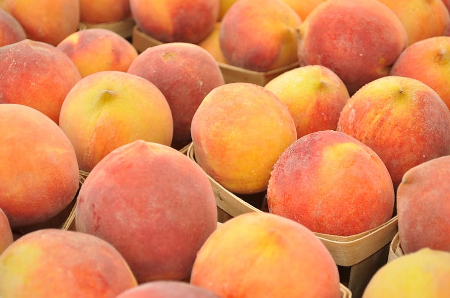 buah persik, buah, pasar, musim panas, sehat, segar, matang, manis, lezat, organik