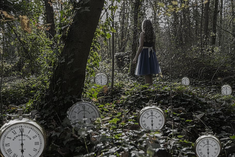 time, wood, tree, nature, outdoors, alice, clocks, old, mental health, woods