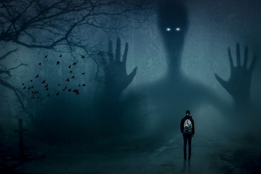 manipulation, ghost, traveler, forest, blue, birds, one person, nature, real people, underwater