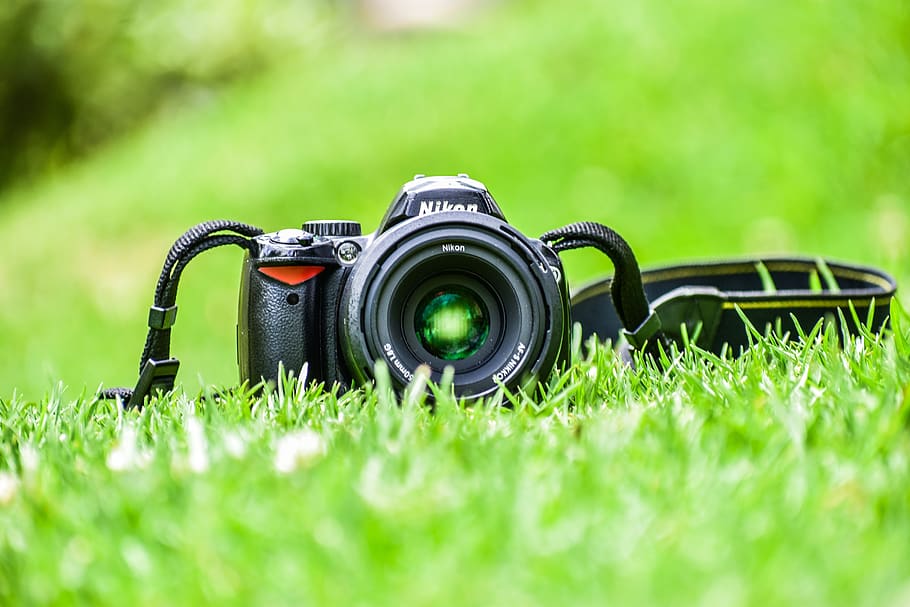 camera, grass, lens, straps, nikon, digital camera, photography themes, plant, camera - photographic equipment, green color