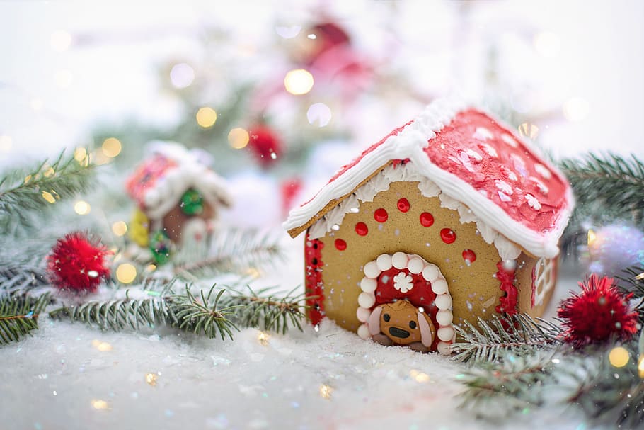 gingerbread house, winter, snow, dog house, gingerbread, house, sweet, decoration, dessert, festive