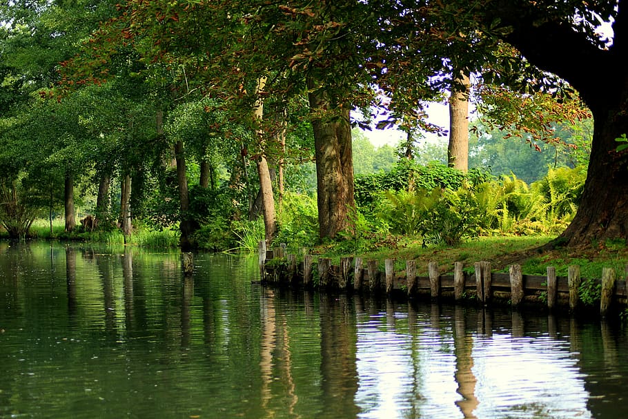 canal, paisagem, verde, água, estágio, verão, o meio ambiente, cenário, natureza, silencioso