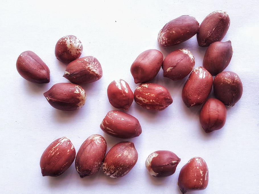 ground nuts, isolated, white, backround, groundnut, groundnuts, peanut, peanuts, white background, dried