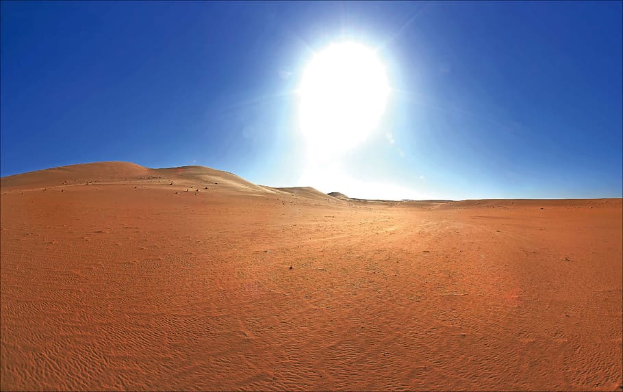 the sahara desert, algeria, oily with, scenics - nature, sky, environment, landscape, beauty in nature, sunlight, tranquil scene