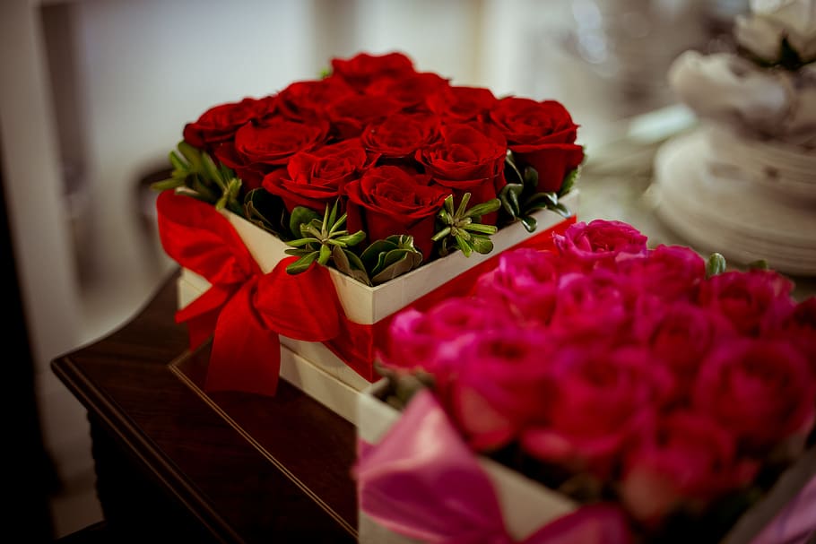 caixa, vermelho, rosas, romântico, amor, flores, mulher, presente, natureza, pessoas