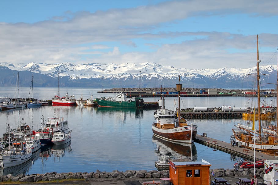 husavik, islandia, puerto, barcos, paisaje, barco, mar, lado, ártico, nieve