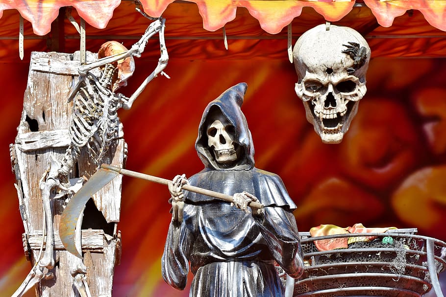 esqueleto, osso, crânio, cabeça, trem fantasma, festival folclórico, oktoberfest, festival da primavera, tremor, dia das bruxas