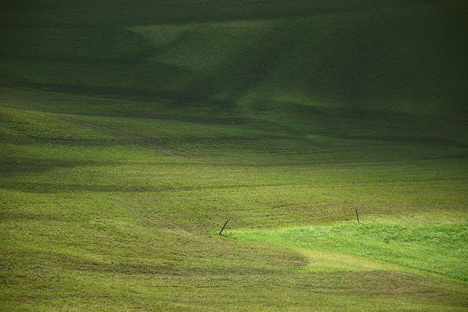 prato, grass, south tyrol, velvet, green color, environment, land, landscape, plant, tranquility