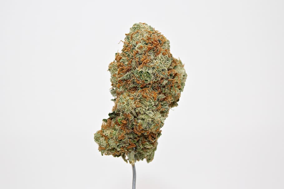 weed, cannabis, marijuana, dank, ganja, thc, stoner, smoke, white background, studio shot