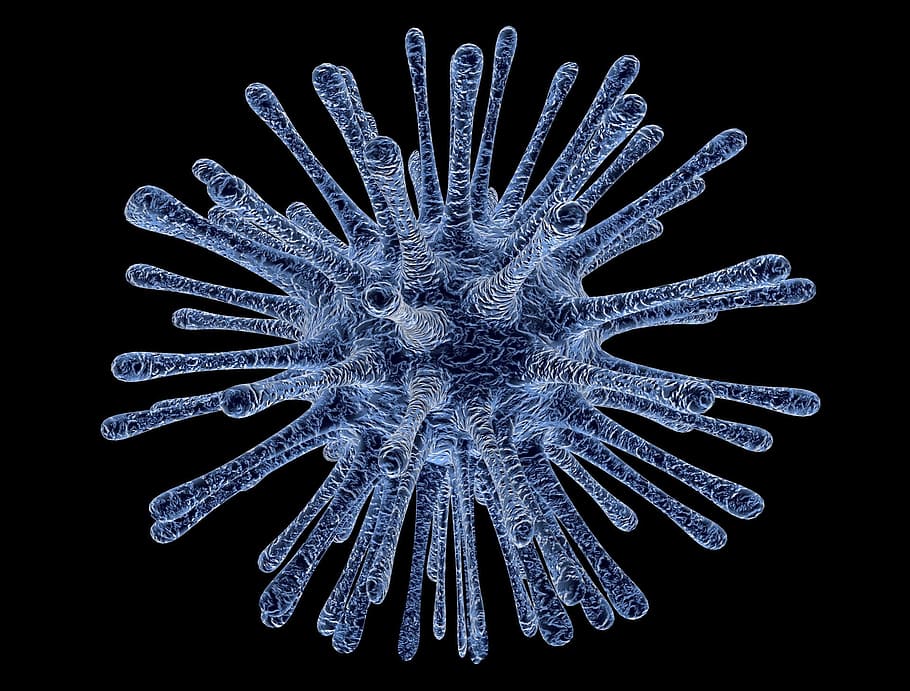sel, virus, infeksi, terinfeksi, medis, alam, mikroskop, latar belakang hitam, suhu dingin, biru