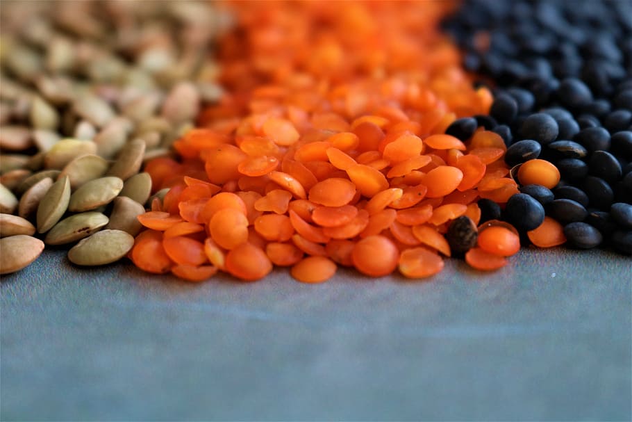 lentils tricolora, close, close up, cooking, diet, healthy, ingredients, legumes, lentils, vegan