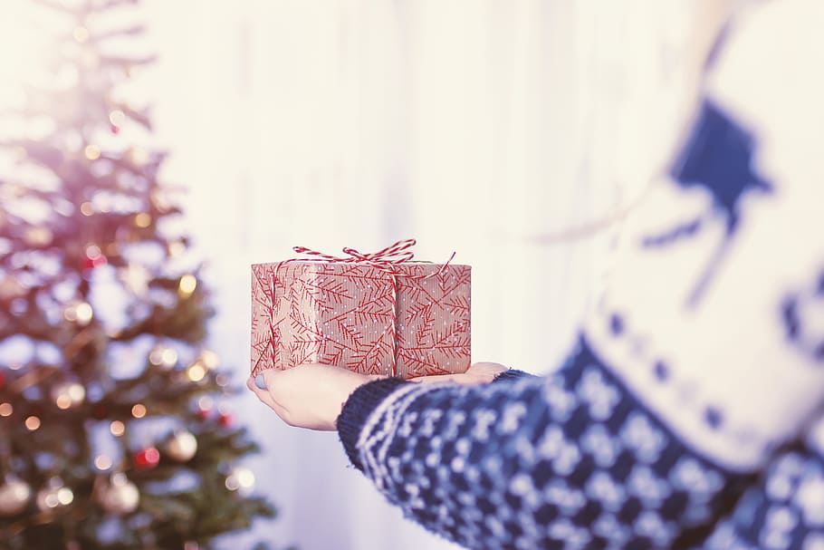 wanita, tangan wanita, pegang, kotak hadiah natal, kotak., selamat, Natal, pohon, satu orang, perayaan