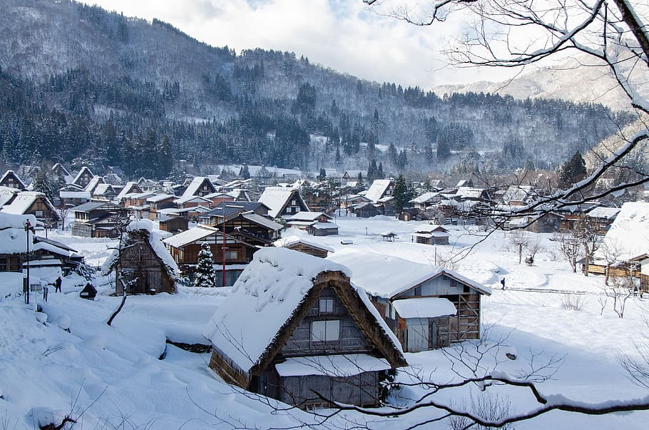 shirakawa-go, tradicional, japão, velho, casa, vila, japonês, cultura, inverno, destino