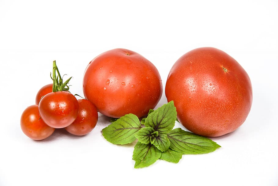 tomato, crops, fruit, red, fresh, leaves, green, table, kitchen, ingredient