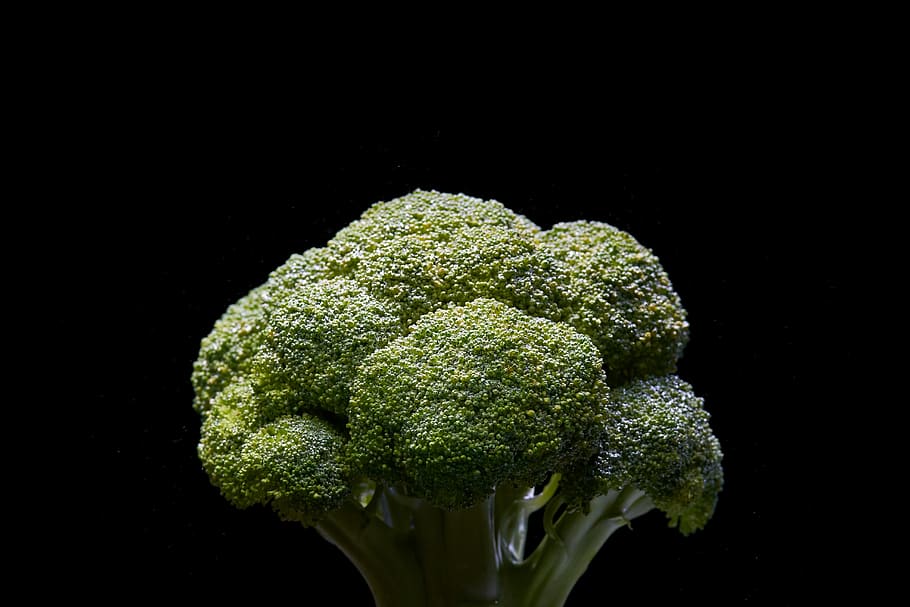 broccoli, vegetable, green, healthy, food, fresh, vegetarian, nutrition, organic, raw