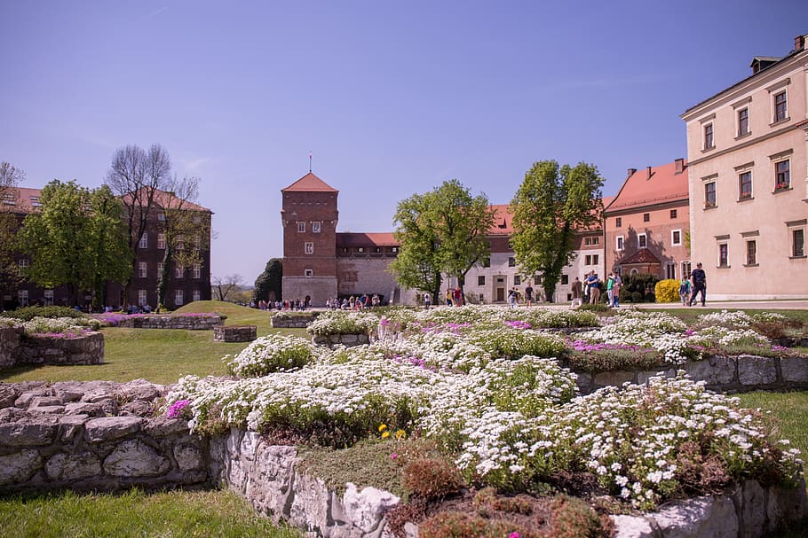 krakow, wawel castle, poland, wawel, castle, old, historical, cracow, tourism, architecture