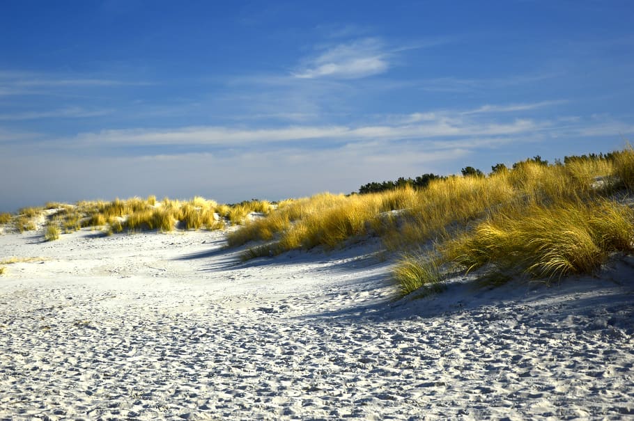 dunas, paisagem das dunas, praia, praia de areia, grama marram, proteção costeira, costa do mar Báltico, natureza, paisagem, terra
