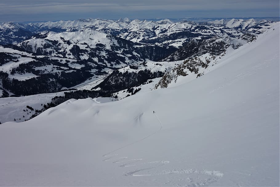 primera línea, esquí de fondo, esquí alpino, esquí, invierno, naturaleza, nieve en polvo, soledad, peligro de avalancha, nieve a la deriva