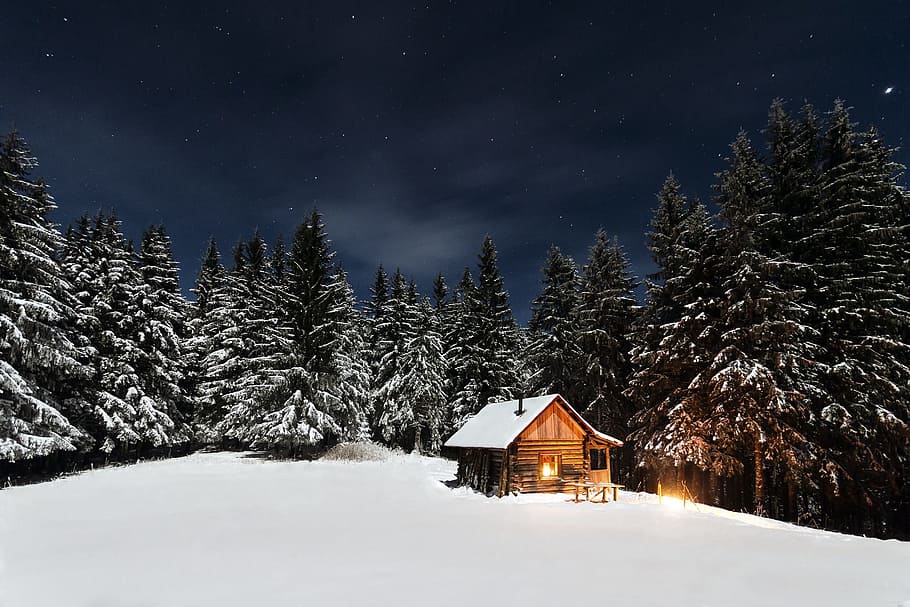 alone, lonely, woods, woodenhouse, house, wood, fire, snow, winter, tree