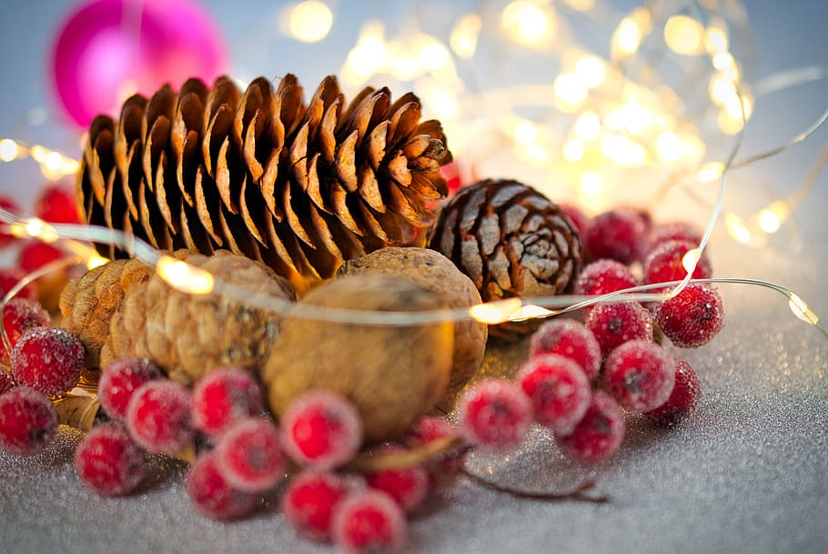 christmas bauble, pine cones, walnut, nut, ball, christmas, christmas card, atmospheric, map, december