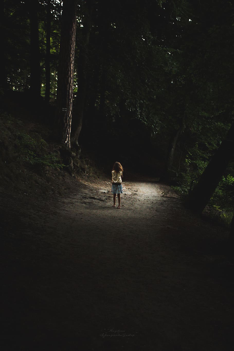 bosque, niño, solo, oscuro, sombrío, aterrador, camino, soledad, perdido, oscuridad
